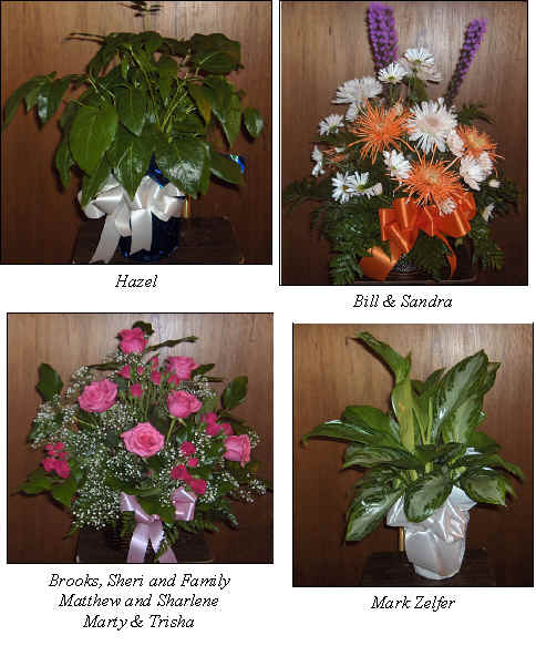 Flowers from 
