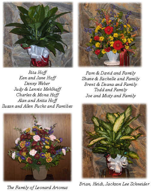 Flowers from 
