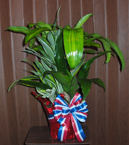 Flowers from Lucille Holsether and Family