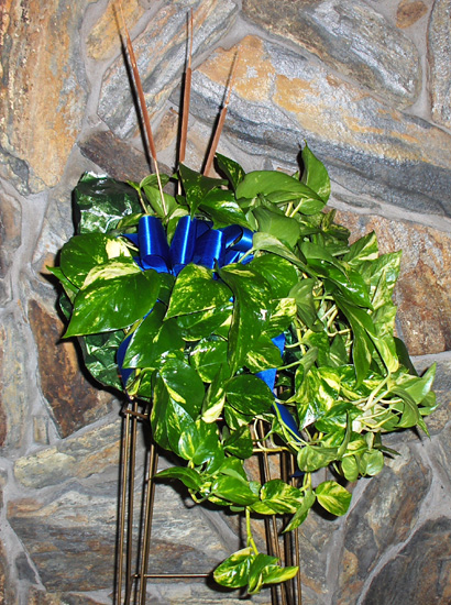 Flowers from Mike & Hallie Albrecht