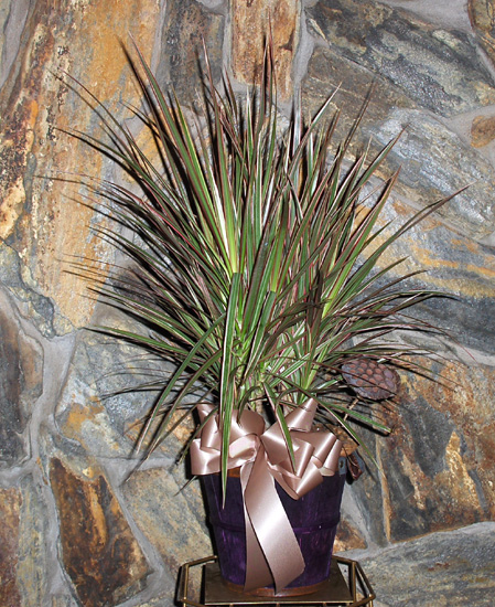 Flowers from Glenn & Dianne Parsons