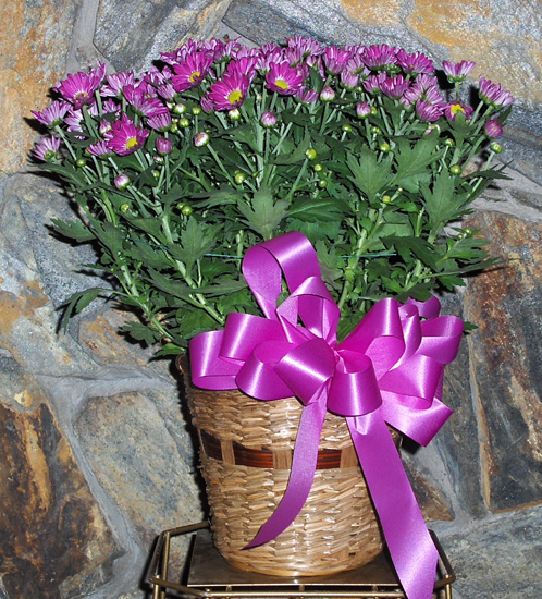 Flowers from Shad & Jenna and Family, Megan & Zeb and Family, and Dixon