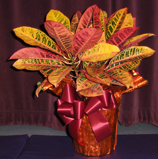 Flowers from Richard & Colleen Hildebrand and Corrine