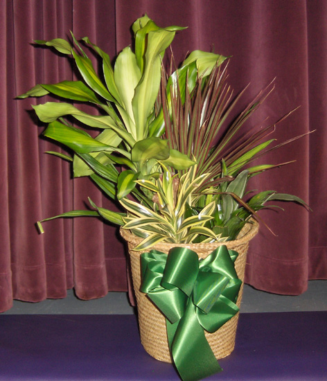 Flowers from Dakota Radio Group