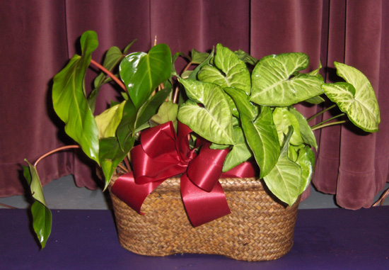 Flowers from Kadoka City Bar Crew - JoBeth, Tina, Debbie, Ryan and Seth