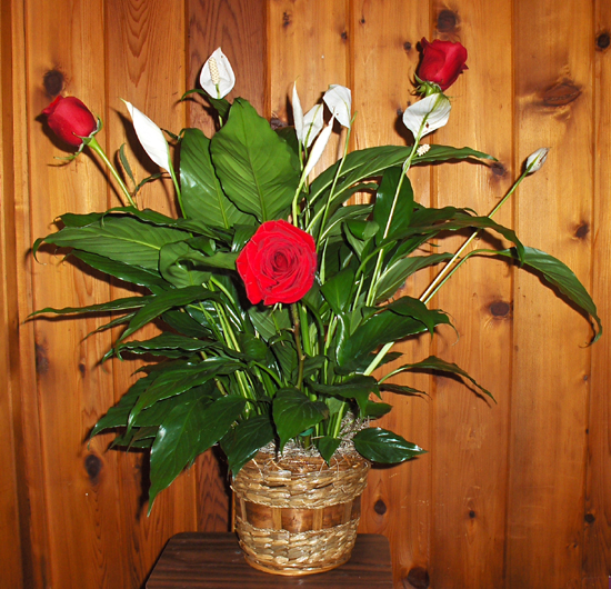 Flowers from Stan & Gwen, Briyan & Melanie, Deborah & Joe