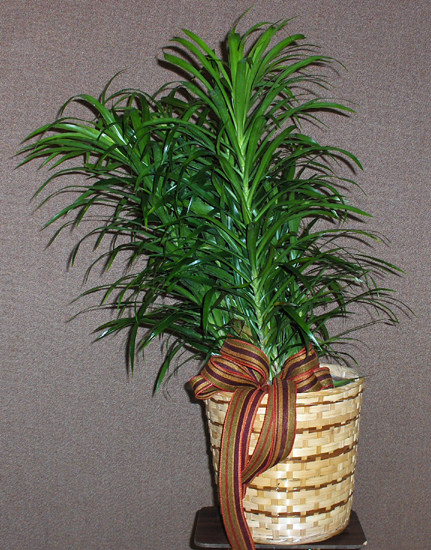 Flowers from South Dakota Farm Bureau