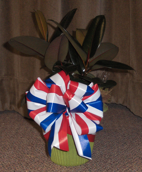 Flowers from Class of 1976