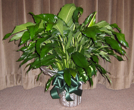 Flowers from Butch & Ann and Family