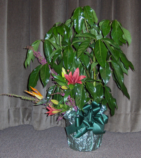 Flowers from The Hauk Family in California