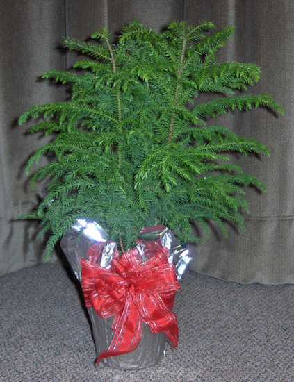 Flowers from Wall School Administration, Employees and School Board