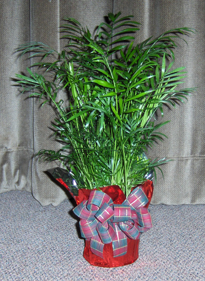 Flowers from The Sunshine Fund Haakon School District