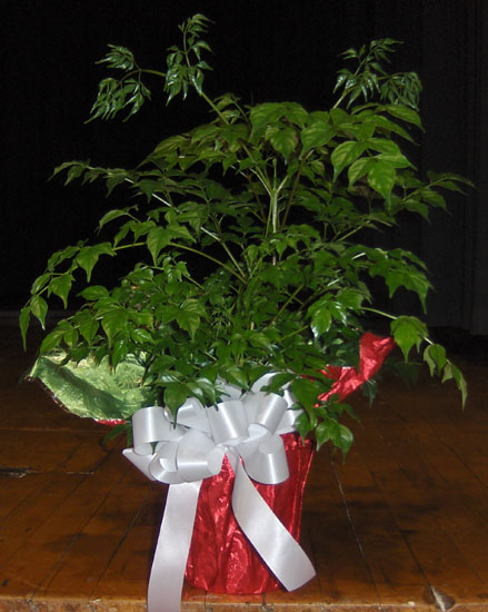 Flowers from Dean & Janice (Holcomb) Fitzgerald