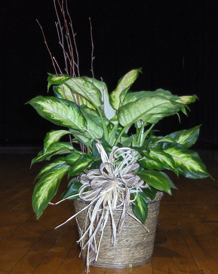 Flowers from Doug Dede and Vicky