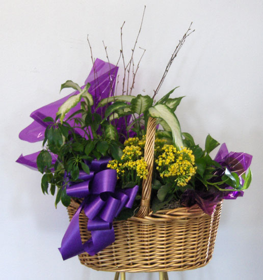 Flowers from Class of 1978