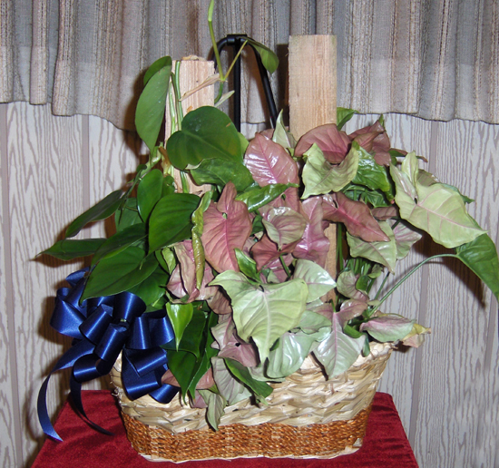 Flowers from Lynn & Connie Weishaar