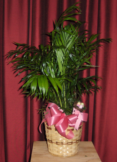 Flowers from The Staff at BankWest
