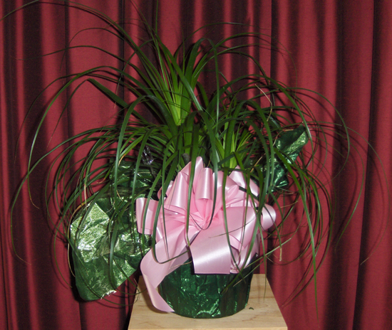Flowers from Gunderson Palmer Law Firm