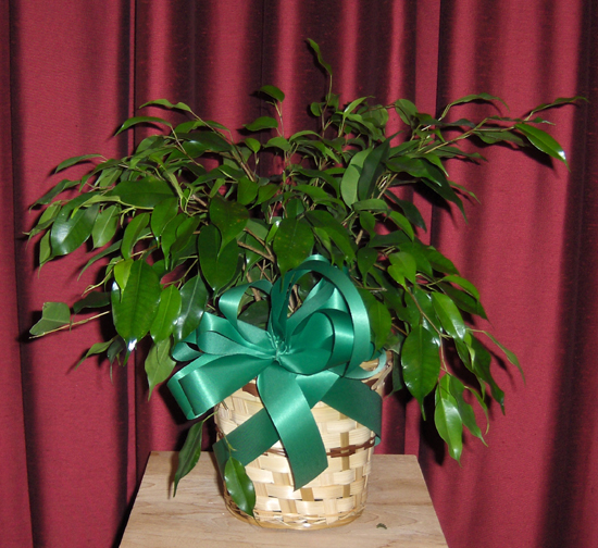 Flowers from Clarence & Lucile Schofield and Family