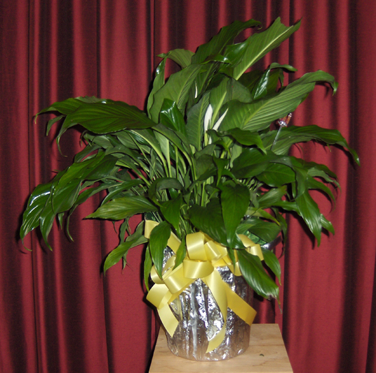 Flowers from Harold & Juli Doerr and Staff