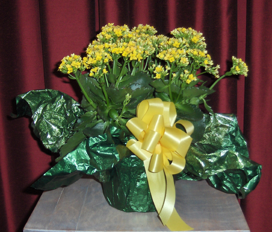 Flowers from Catherine