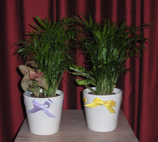 Flowers from The Gillaspie Family
