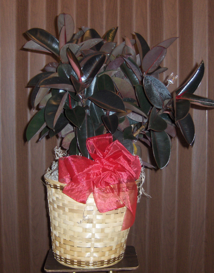 Flowers from Faculty and Staff at Dakota Wesleyan University