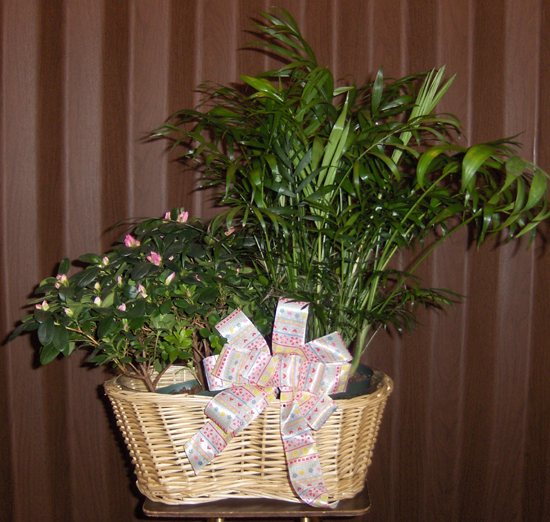 Flowers from Dale & Carole Curtis and Family