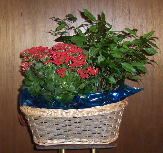 Flowers from Jerry & Sharon, Michelle, EJ, Karin, Alaina and Grady Engelhaupt