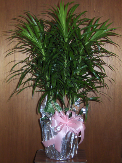 Flowers from The Don Hudson Family