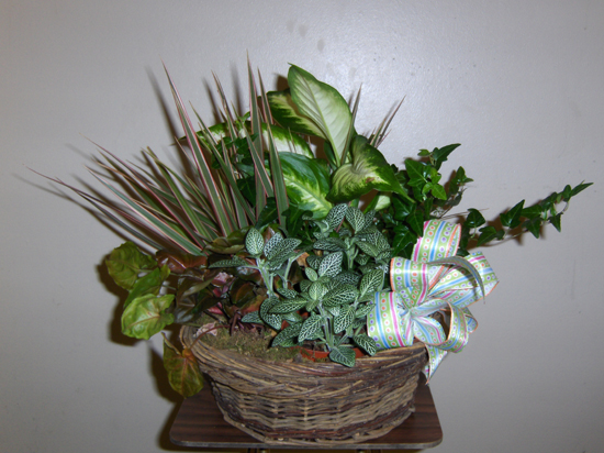 Flowers from Everyone at Midwest Coop - Philip, SD