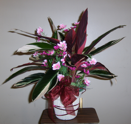 Flowers from Friends at Amiety Technology