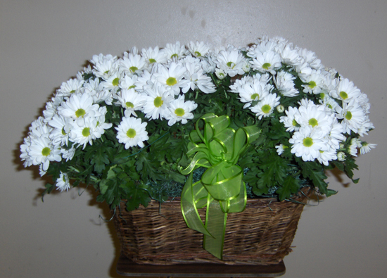 Flowers from Mike & Jennifer Casjens and Family