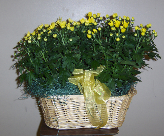 Flowers from Class of 2002