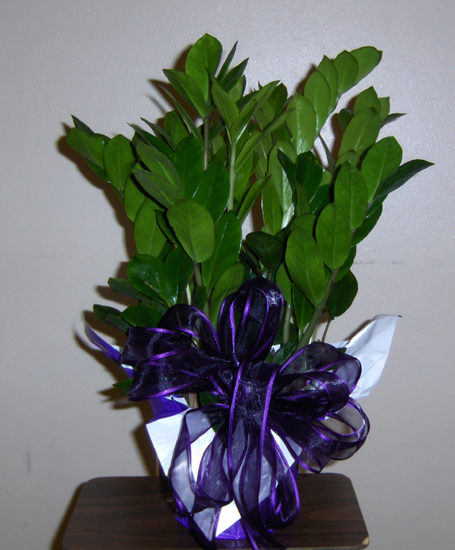 Flowers from School Staff, Administration and School Board of Wall School