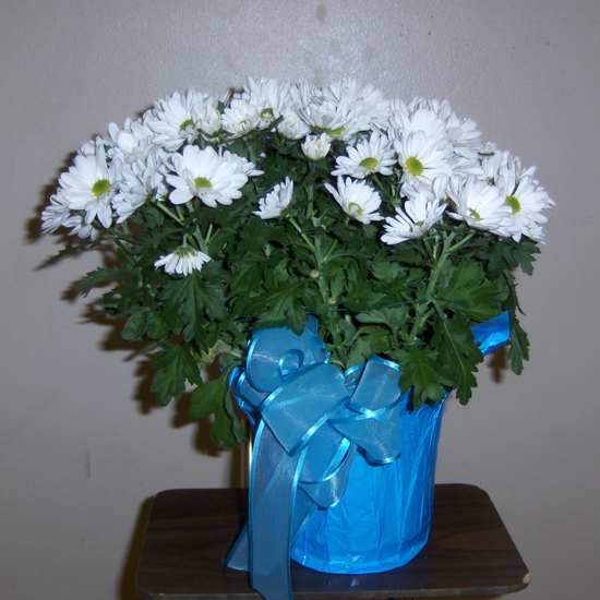 Flowers from Jenny, Jeremiah and Kristina Charlson