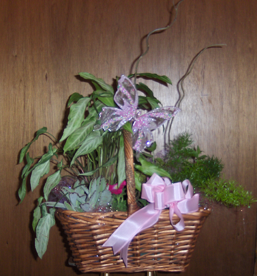 Flowers from Cheryl Hurley