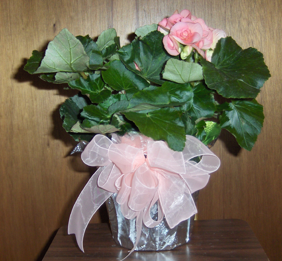 Flowers from Julian, Coreen and Nick, Kristin, Vance and Kids, Adam & Jodi and Family