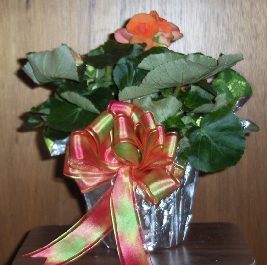 Flowers from Barbara Spears