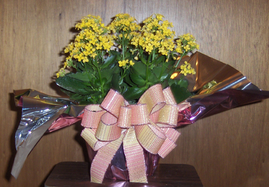 Flowers from Kennedy Implement - Mark and Employees