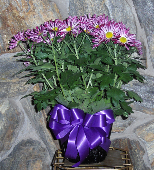Flowers from Mildred Raymond and Families