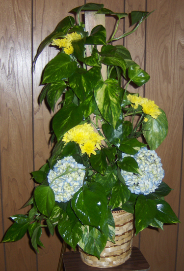 Flowers from Sinclair Oil Corporation