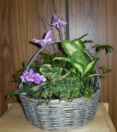 Flowers from Kevin & Twila Meyers, and the Steve Lei Family