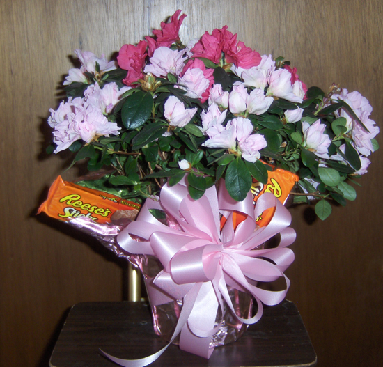 Flowers from Tracy, Mary, Taylor and Kennedy Ragland