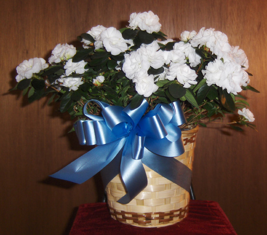 Flowers from Oahe Electric Cooperative