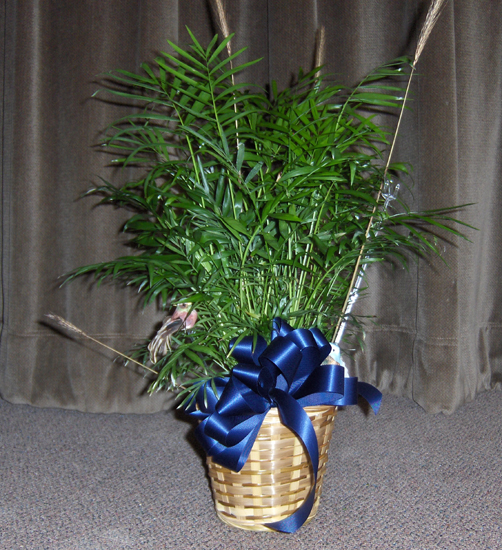 Flowers from Pat & LouAnn Delaney