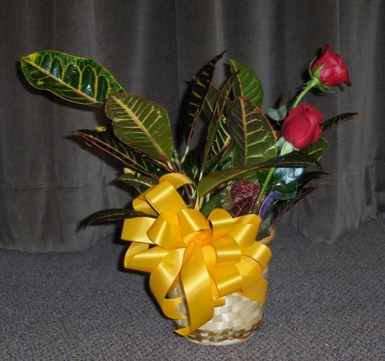 Flowers from Norman & Jean Amiotte