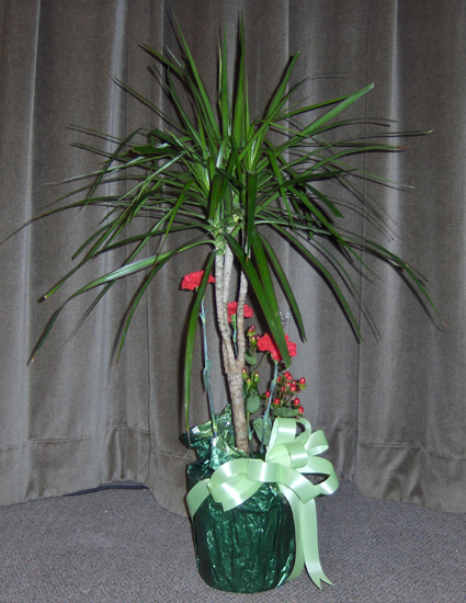 Flowers from Ed & Dee Fleming
