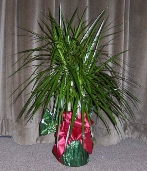Flowers from Dean & Janice Fitzgerald