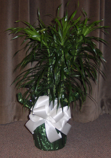 Flowers from Phil and Delores